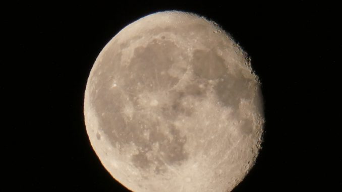 P1000038